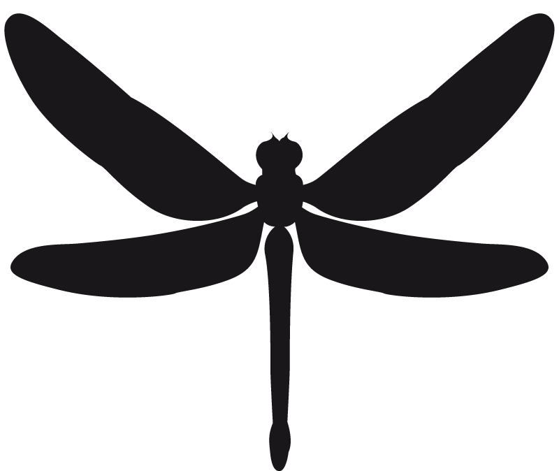 Stencil Sticker Dragonfly Insect - dragonfly png download - 800*674