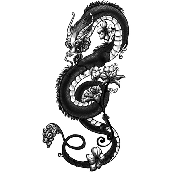 Tattoo Japanese Dragon Drawing Chinese Dragon Tattoo Png Sleeve Png Download 600600 Free 0995