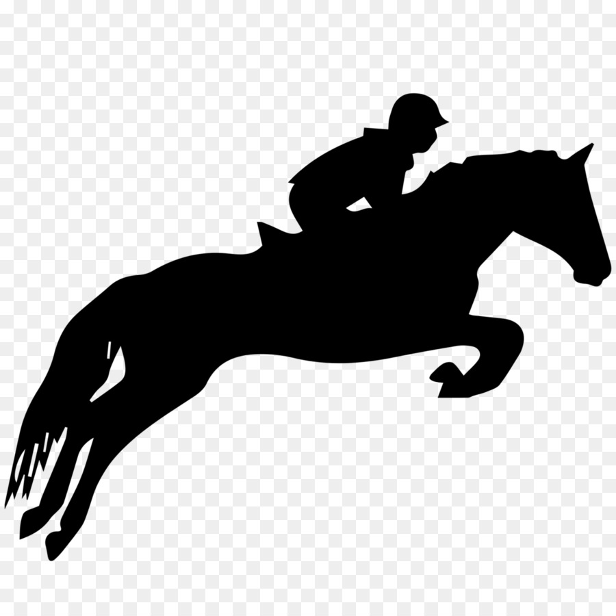 Horse show Show jumping Equestrian - jumping png download - 1200*1200 - Free Transparent Horse png Download.