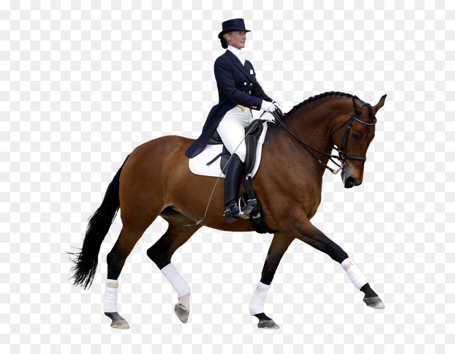 Horse Dressage International Federation for Equestrian Sports Eventing - jumping png download - 700*700 - Free Transparent Horse png Download.