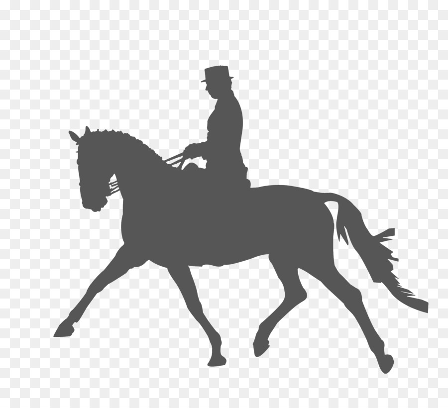 Horse Equestrianism Dressage Silhouette Clip art - horse riding,Sketch png download - 2292*2053 - Free Transparent Horse png Download.