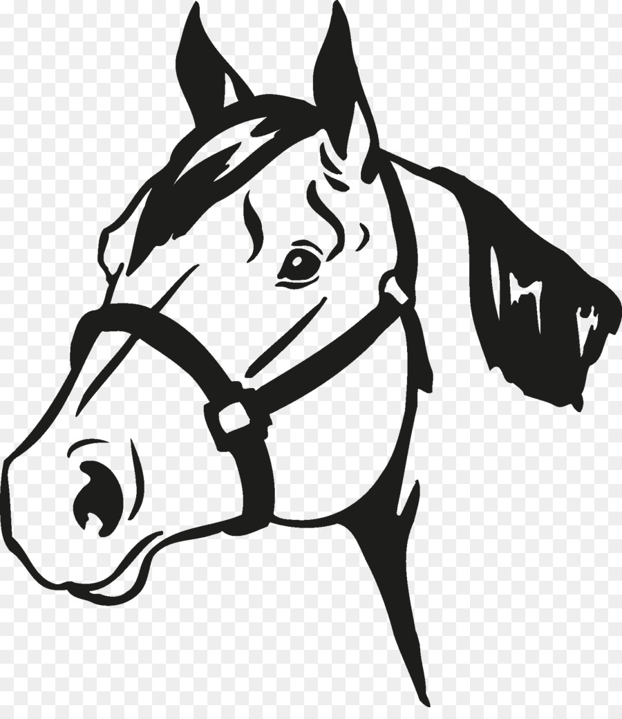 Horse show 4-H Equestrian Veterinarian - horse head png download - 1548*1759 - Free Transparent Horse png Download.