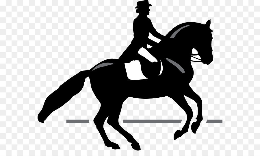 Horse Dressage Equestrian Equitation Clip art - horse png download - 640*521 - Free Transparent Horse png Download.