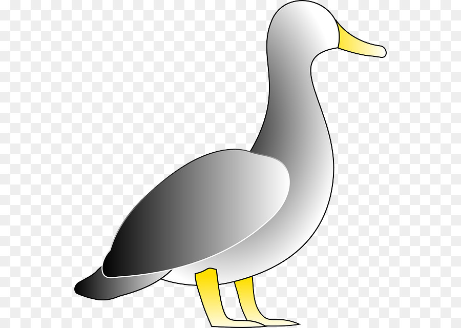 Donald Duck Clip art - cartoon duck png download - 610*640 - Free Transparent Duck png Download.