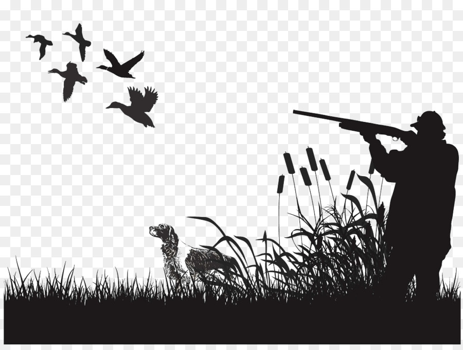 Duck Mural Waterfowl hunting Wall decal - Playing duck hunter image png download - 1000*745 - Free Transparent Duck png Download.