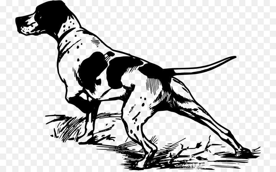 Pointer Greyhound Hunting dog Clip art - duck png download - 800*556 - Free Transparent Pointer png Download.