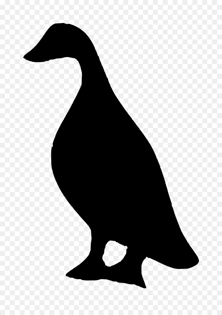 Duck Bird Silhouette Goose - DUCK png download - 1707*2400 - Free Transparent Duck png Download.