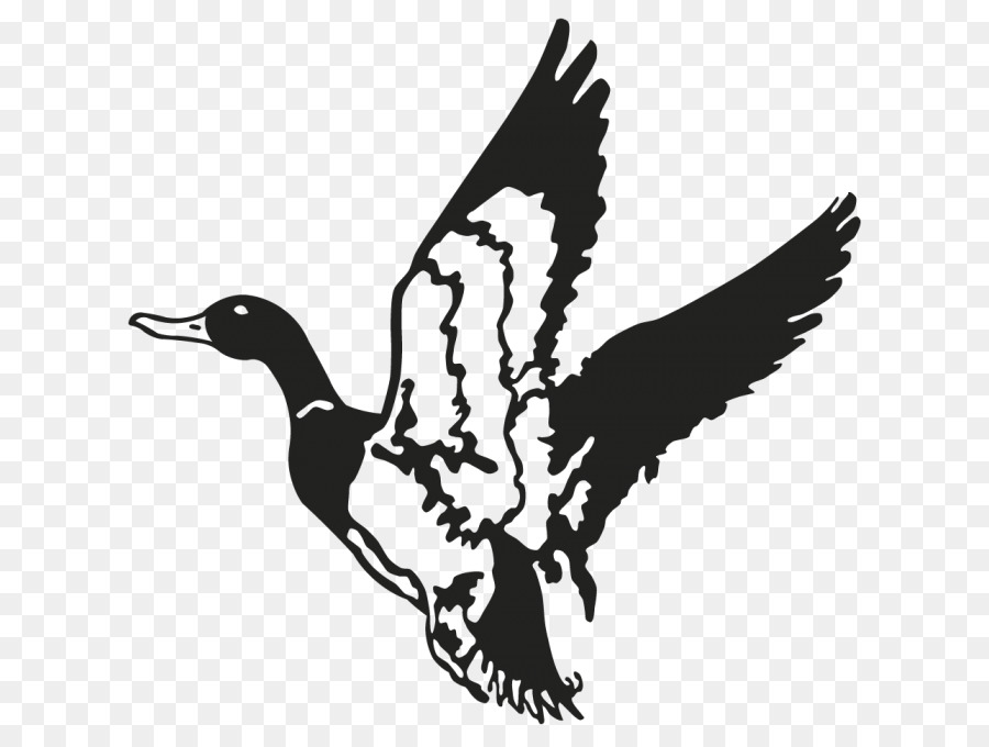 Duck Mallard Decal Waterfowl hunting - duck png download - 700*676 - Free Transparent Duck png Download.