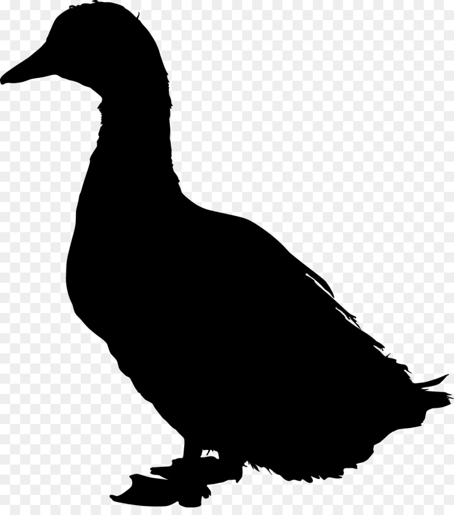 American Pekin Duck Mallard Bird Silhouette - duck png download - 917*1024 - Free Transparent American Pekin png Download.
