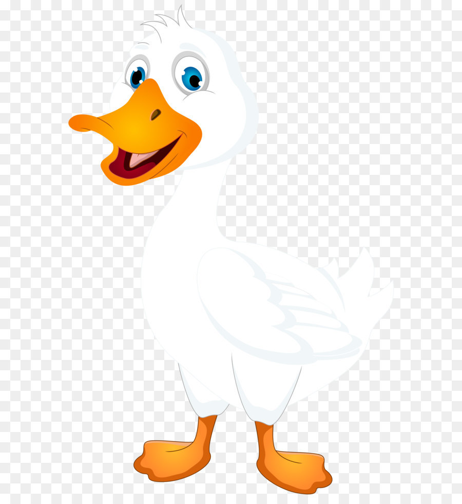 Duck Clip art - White Duck Cartoon PNG Clip Art Image png download - 5352*8000 - Free Transparent American Pekin png Download.