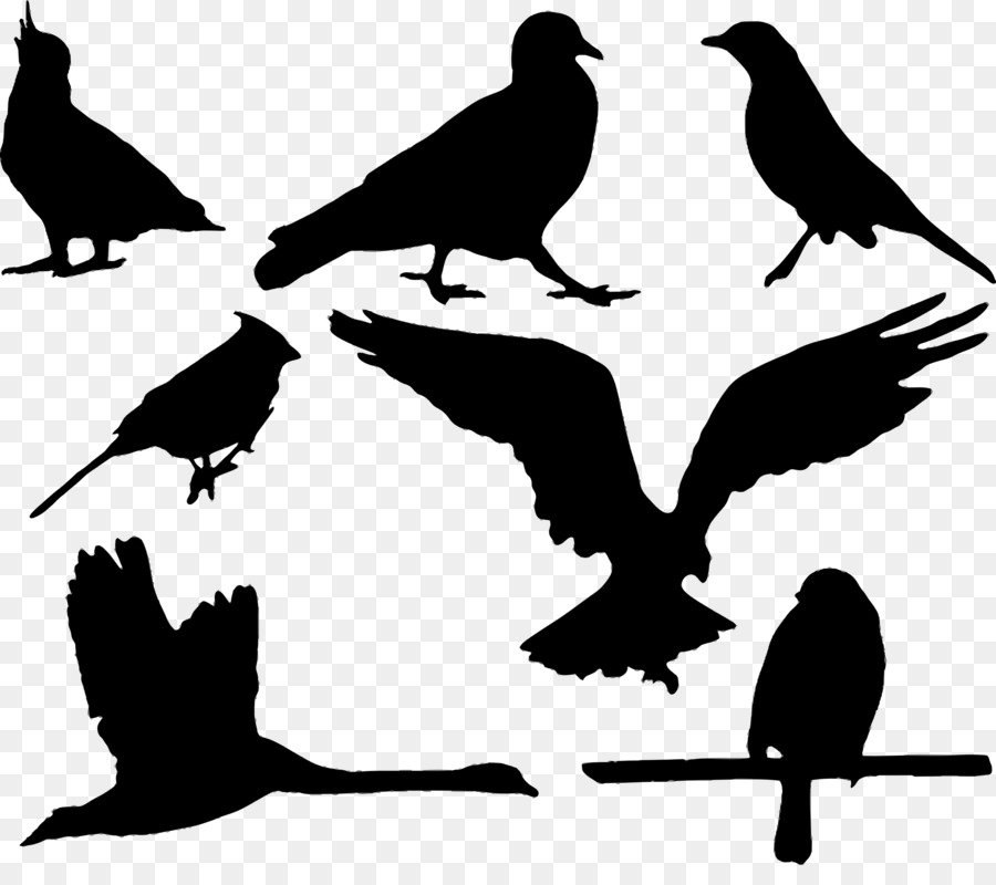 Bird Silhouette Eagle - cockatoo png download - 2500*2171 - Free Transparent Bird png Download.