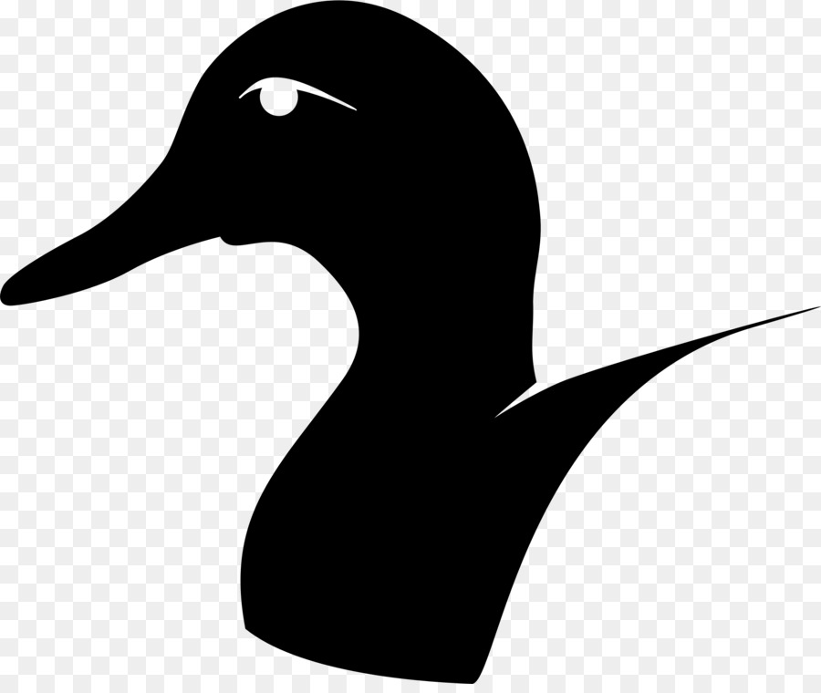 American Pekin Duck Bird Goose Mallard - duck png download - 2400*2001 - Free Transparent American Pekin png Download.