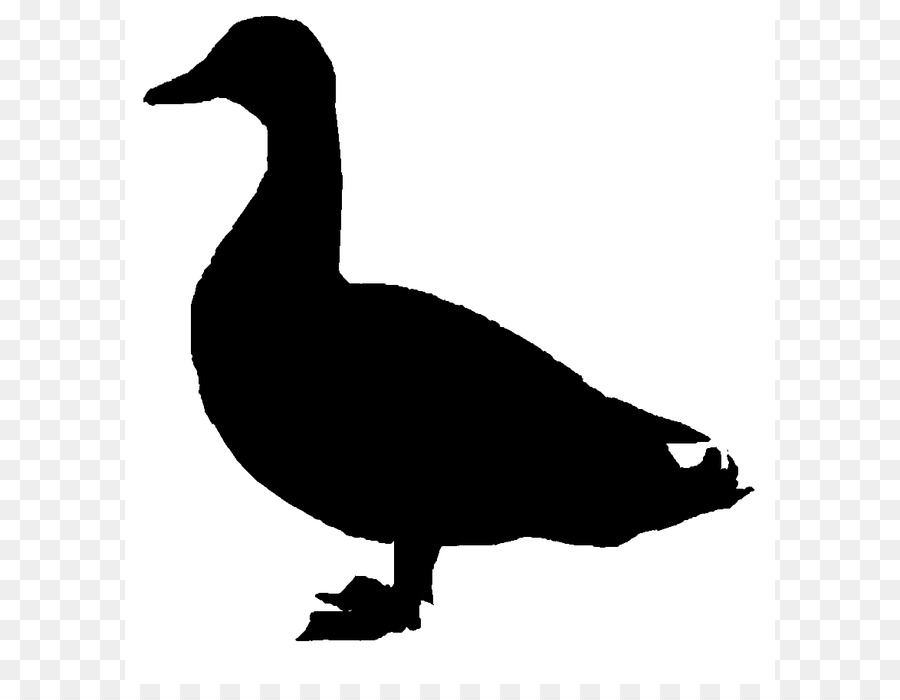 Donald Duck Mallard Goose Clip art - Duck Silhouette png download - 848*893 - Free Transparent Duck png Download.