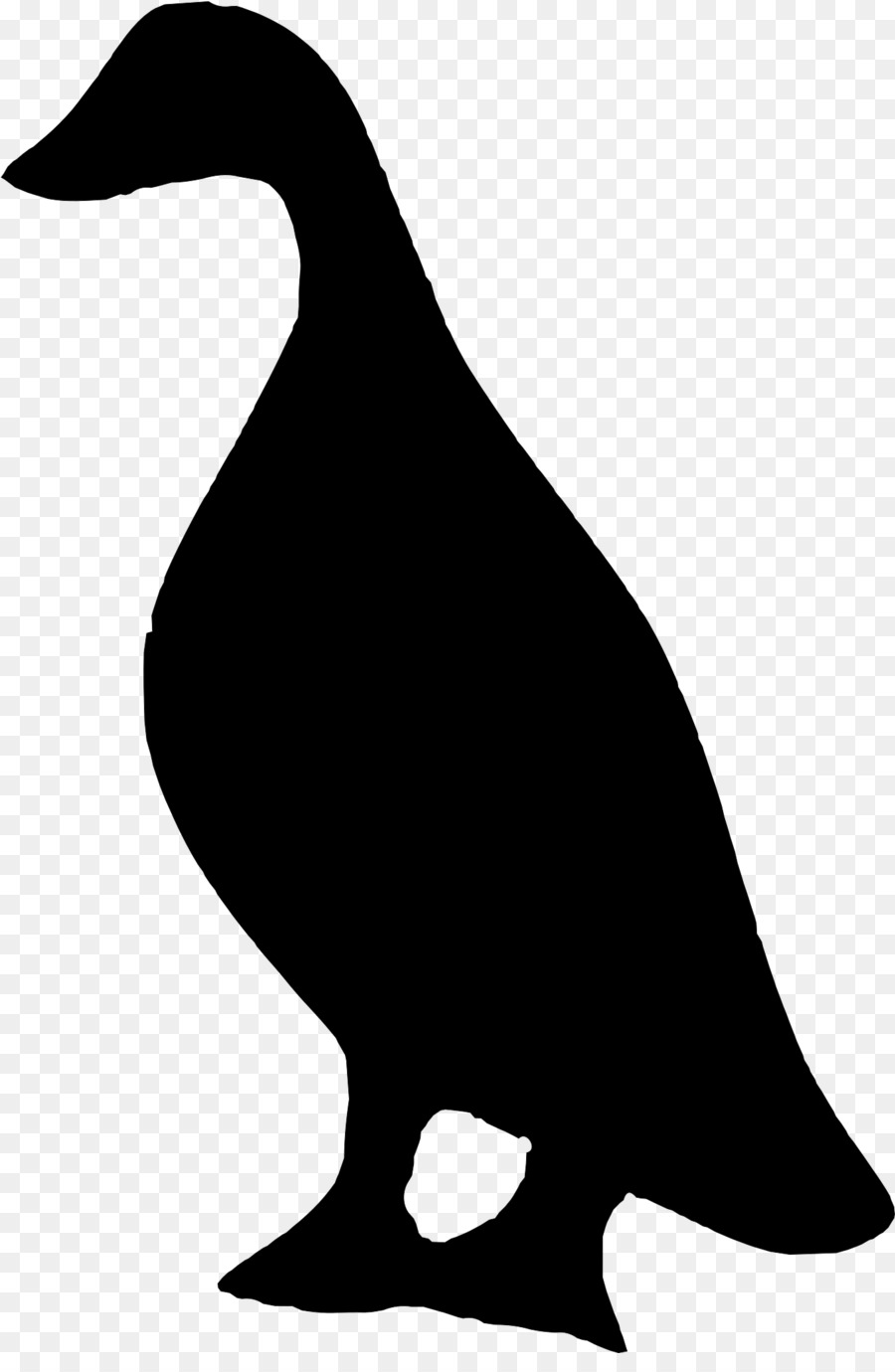 Duck Vector graphics Clip art Illustration Silhouette - duck drawing png clip png download - 1354*2048 - Free Transparent Duck png Download.