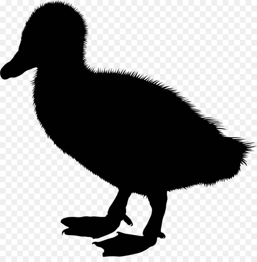 Duck Clip art Silhouette Illustration Vector graphics -  png download - 1663*1667 - Free Transparent Duck png Download.