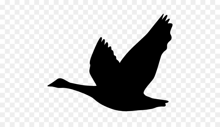 Goose Bird Duck Silhouette Ganso - goose png download - 512*512 - Free Transparent Goose png Download.