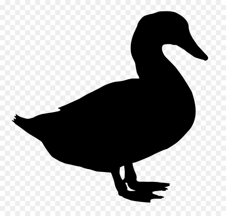 Duck Vector graphics Royalty-free Clip art Stock photography -  png download - 1270*1200 - Free Transparent Duck png Download.