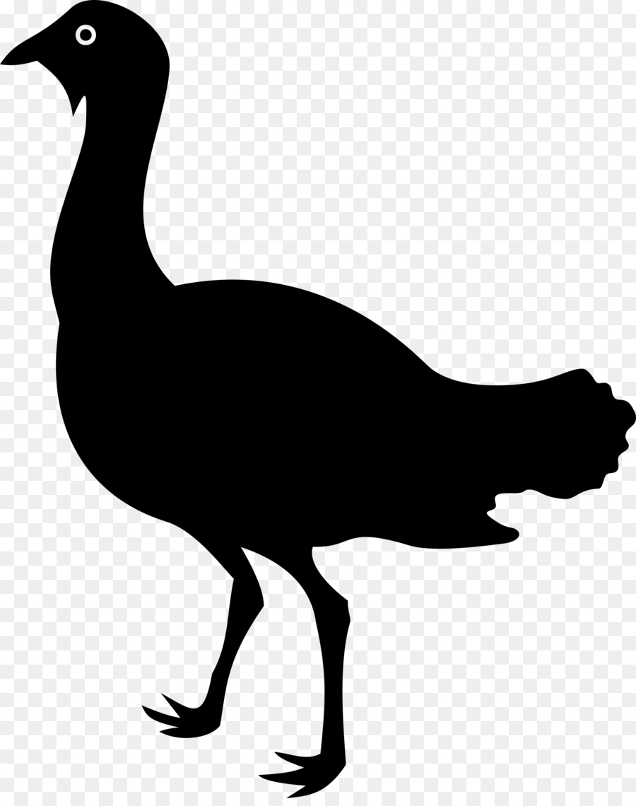 Bird Goose Duck Silhouette Clip art - small animal png download - 1914*2400 - Free Transparent Bird png Download.