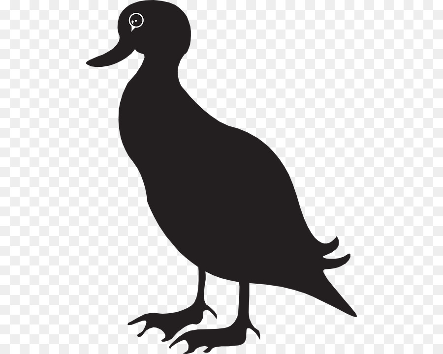 Duck Mallard Goose Clip art - goose vector png download - 550*720 - Free Transparent Duck png Download.