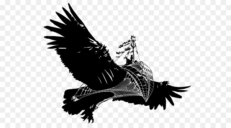 Eagle Beak Feather Silhouette - Parrot pirate png download - 600*494 - Free Transparent Eagle png Download.