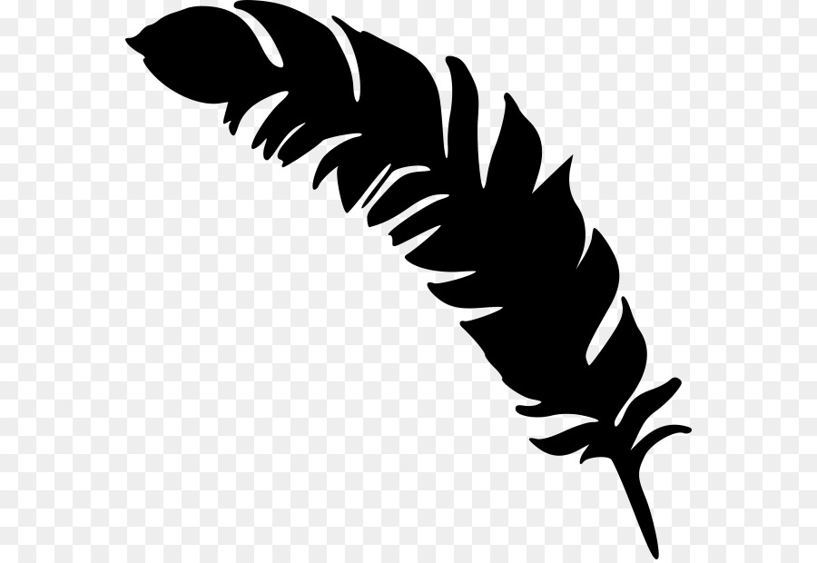 Feather Drawing - feather png download - 624*616 - Free Transparent Feather png Download.