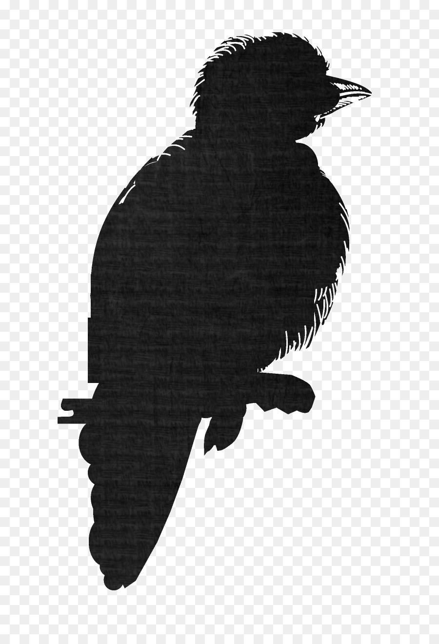 Eagle Fauna Silhouette Crow Beak - eagle png download - 848*1304 - Free Transparent Eagle png Download.