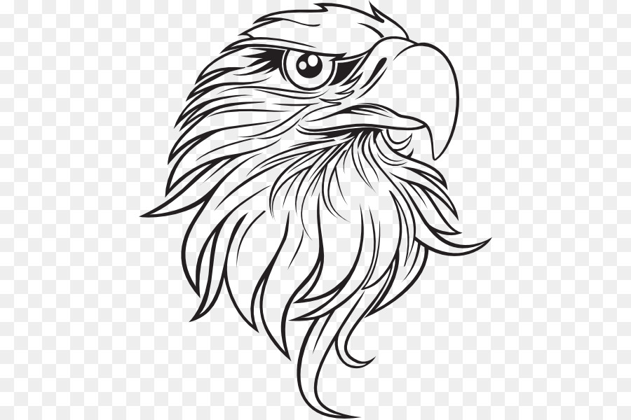 Bald Eagle Drawing Clip art - Eagle Outline Cliparts png download - 504*598 - Free Transparent Bald Eagle png Download.