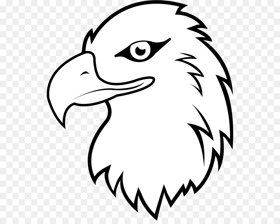 Bald Eagle White-tailed Eagle Clip art - White Eagle Cliparts png download - 600*709 - Free Transparent Bald Eagle png Download.