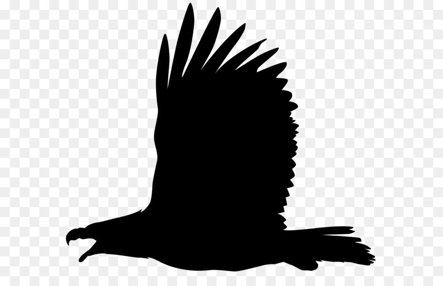 Bald Eagle Silhouette Clip art - Eagle Silhouette PNG Clip Art Image png download - 8000*6893 - Free Transparent Bald Eagle png Download.