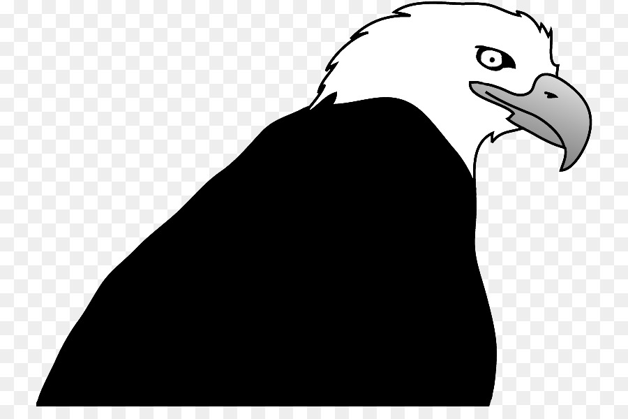 Bald Eagle Bird Drawing Clip art - eagle png download - 800*582 - Free Transparent Bald Eagle png Download.