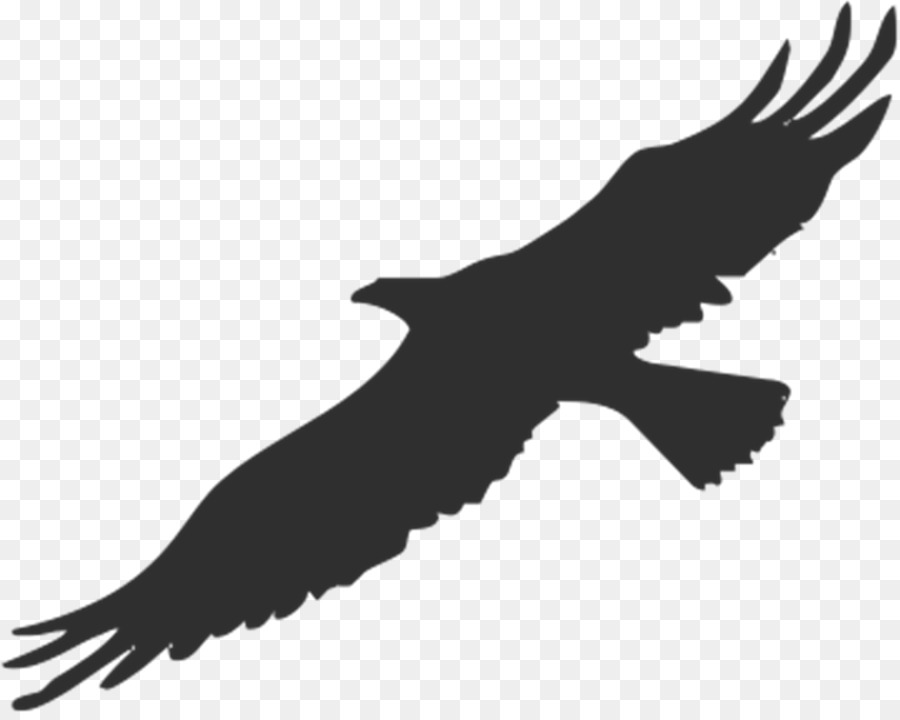 Bird Bald Eagle Silhouette Clip art - american eagle png download - 1280*1015 - Free Transparent Bird png Download.