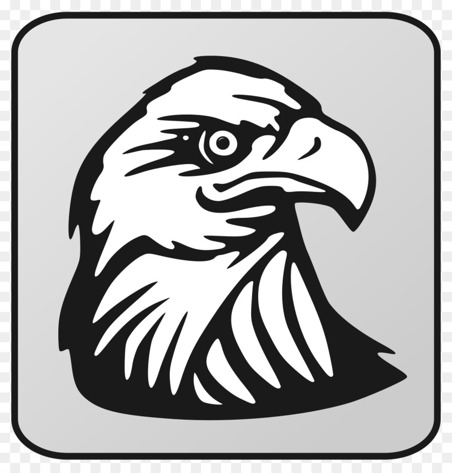 Bald Eagle Golden eagle Clip art - eagle head png download - 961*1000 - Free Transparent Bald Eagle png Download.