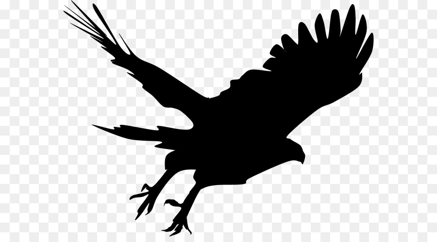 Bald Eagle Silhouette Hawk Clip art - Silhouette png download - 640*489 - Free Transparent Bald Eagle png Download.