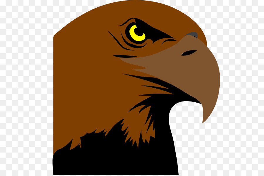 Philadelphia Eagles Bird Logo Clip art - Logo Kepala Rajawali png download - 600*597 - Free Transparent Philadelphia Eagles png Download.