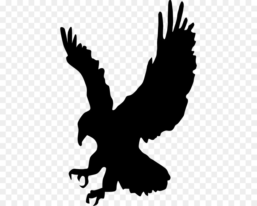 Bird Eagle Silhouette Clip art - Bird png download - 478*720 - Free Transparent Bird png Download.