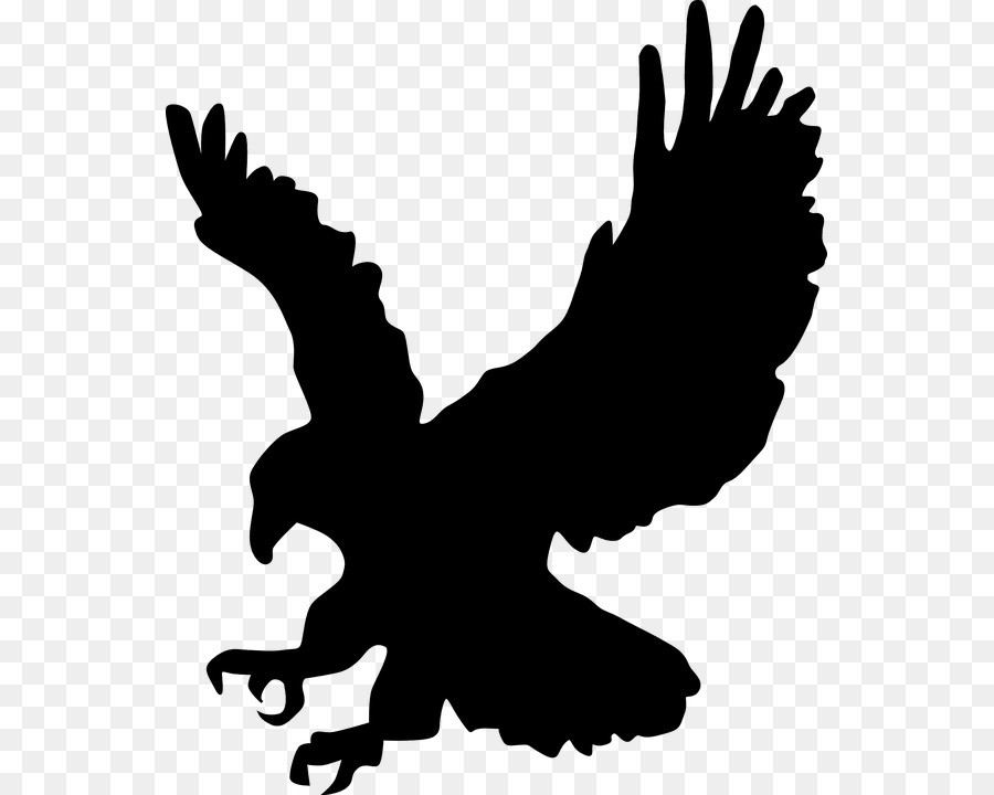 Bald Eagle Silhouette Clip art - eagle png download - 599*720 - Free Transparent Eagle png Download.