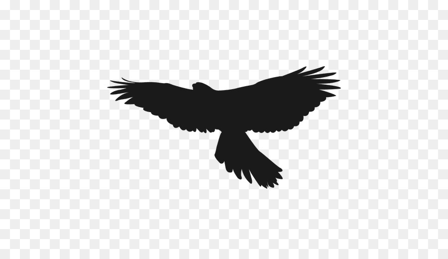 Warsaw Bird Silhouette Clip art - eagle png download - 512*512 - Free Transparent Warsaw png Download.