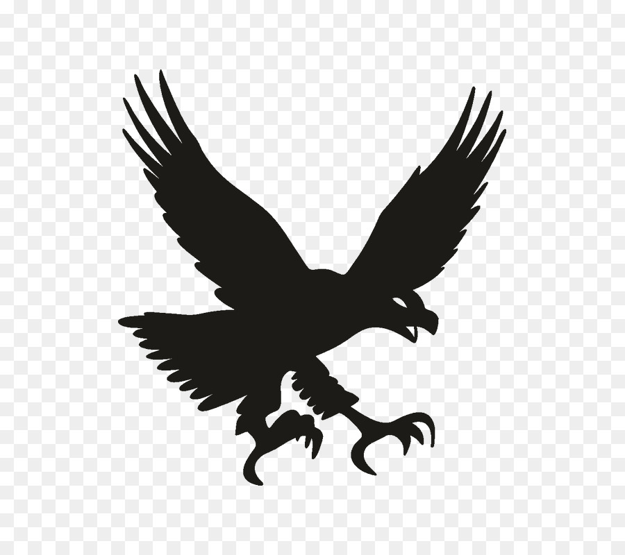 Bald eagle Bird Decal Sticker - eagle png download - 800*800 - Free Transparent Bald Eagle png Download.