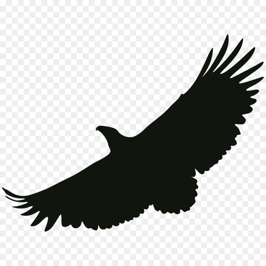 Bald eagle Portable Network Graphics Black and white - eagle png download - 1201*1201 - Free Transparent Bald Eagle png Download.