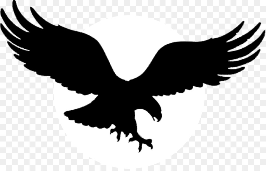 Bald Eagle Golden eagle Tattoo Black eagle - winged eagle insignia png download - 1210*769 - Free Transparent Bald Eagle png Download.
