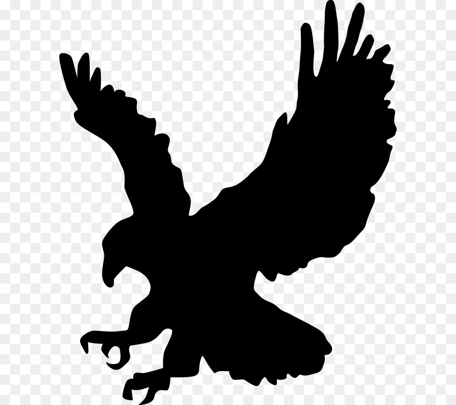 Bald Eagle Silhouette Clip art - eagle png download - 666*800 - Free Transparent Bald Eagle png Download.
