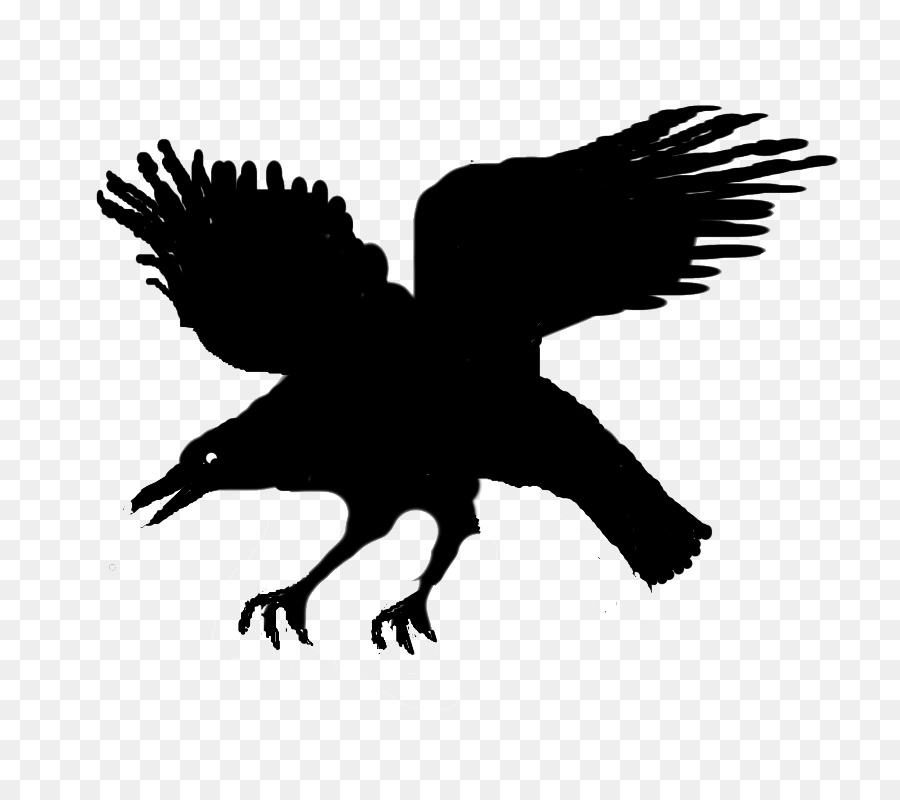 Eagle Silhouette Character Beak - eagle png download - 800*800 - Free Transparent Eagle png Download.