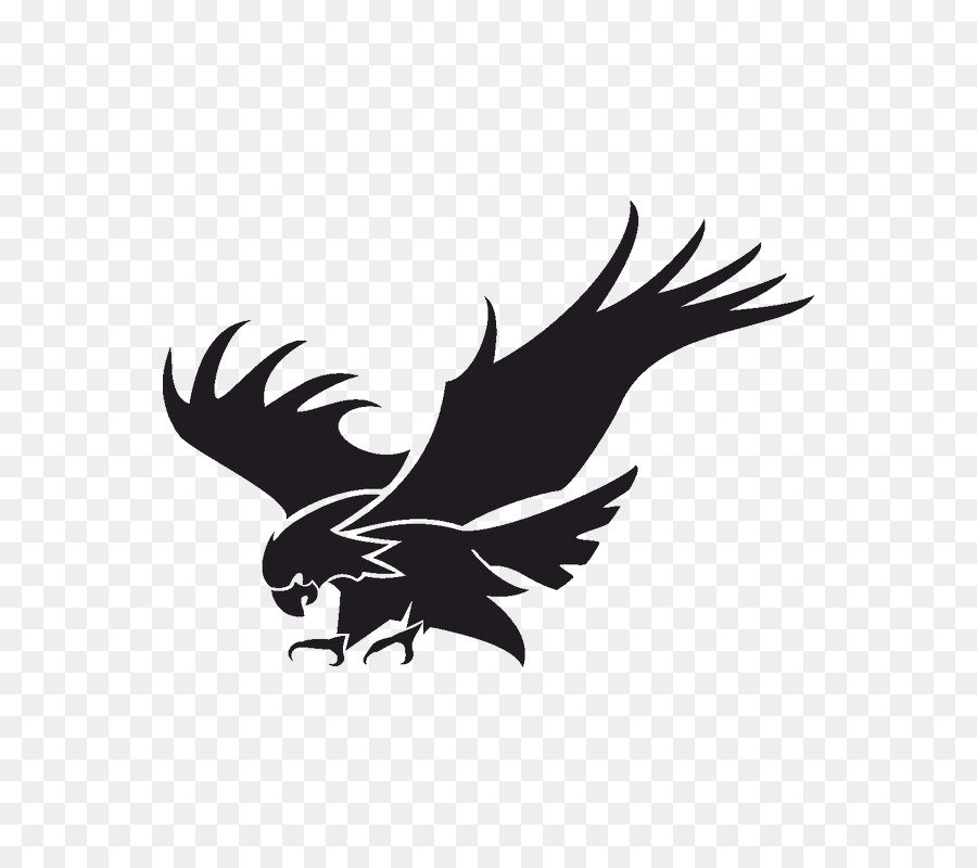 Bald Eagle - eagle png download - 800*800 - Free Transparent Bald Eagle png Download.