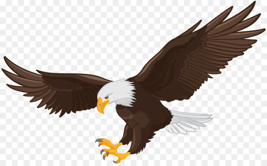 White-tailed Eagle Bald Eagle Clip art - eagle png download - 8000*4922 - Free Transparent Whitetailed Eagle png Download.