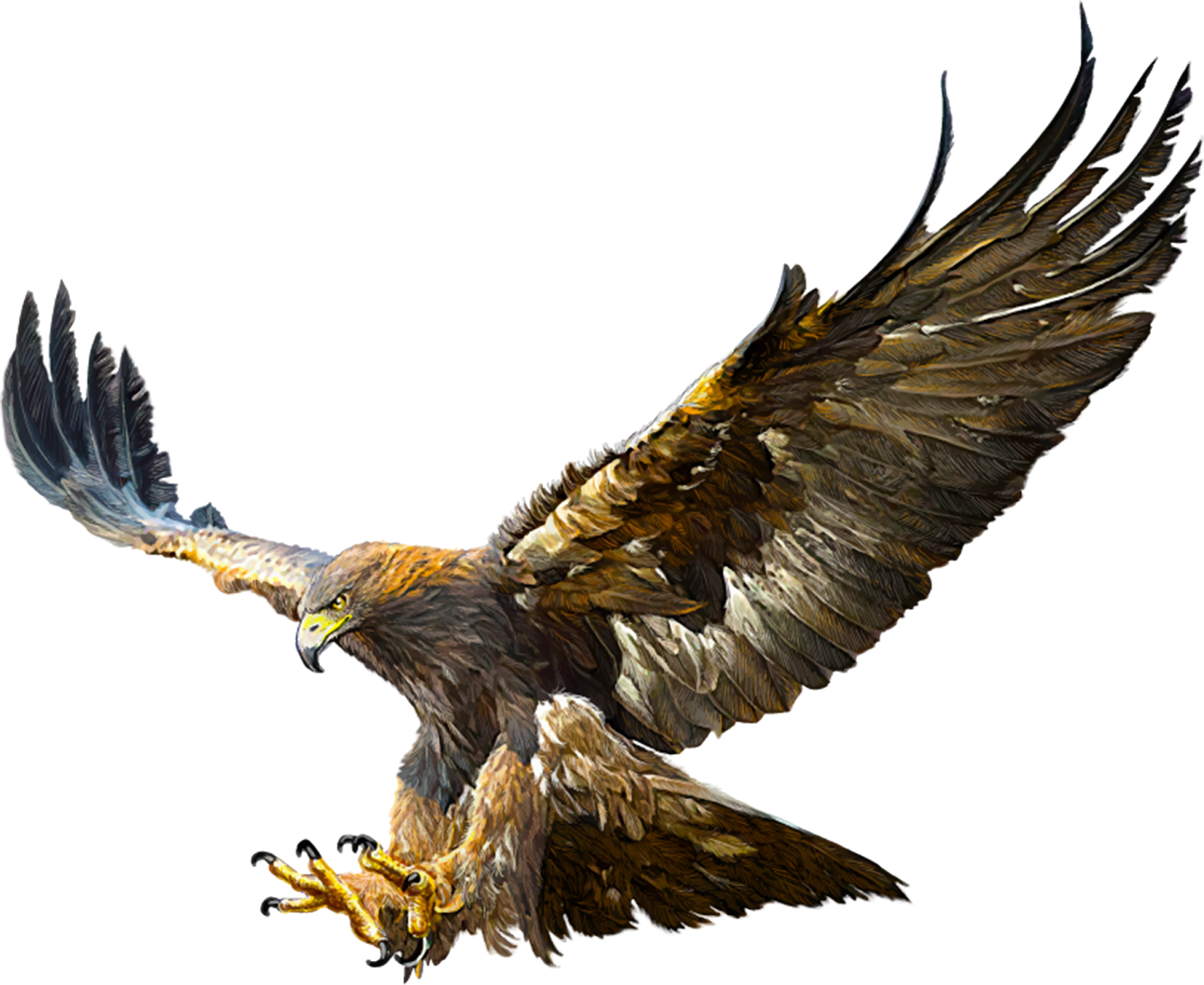 Bald Eagle Golden Eagle Flight Drawing Eagle Png Download 16001309