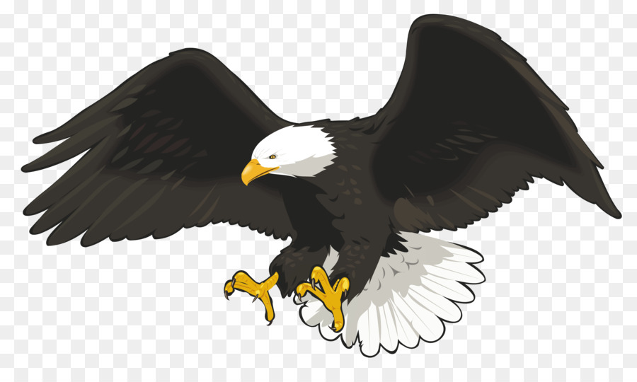 Bald Eagle Clip art - falcon png download - 9288*5408 - Free Transparent Bald Eagle png Download.