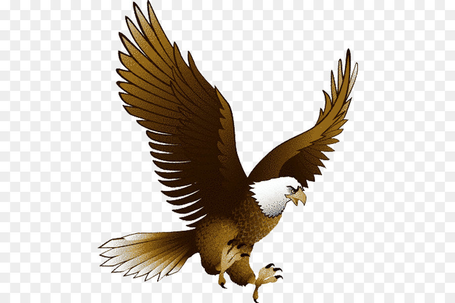 Eagle Clip art - Eagle Png Image With Transparency Download png download - 516*600 - Free Transparent Bald Eagle png Download.