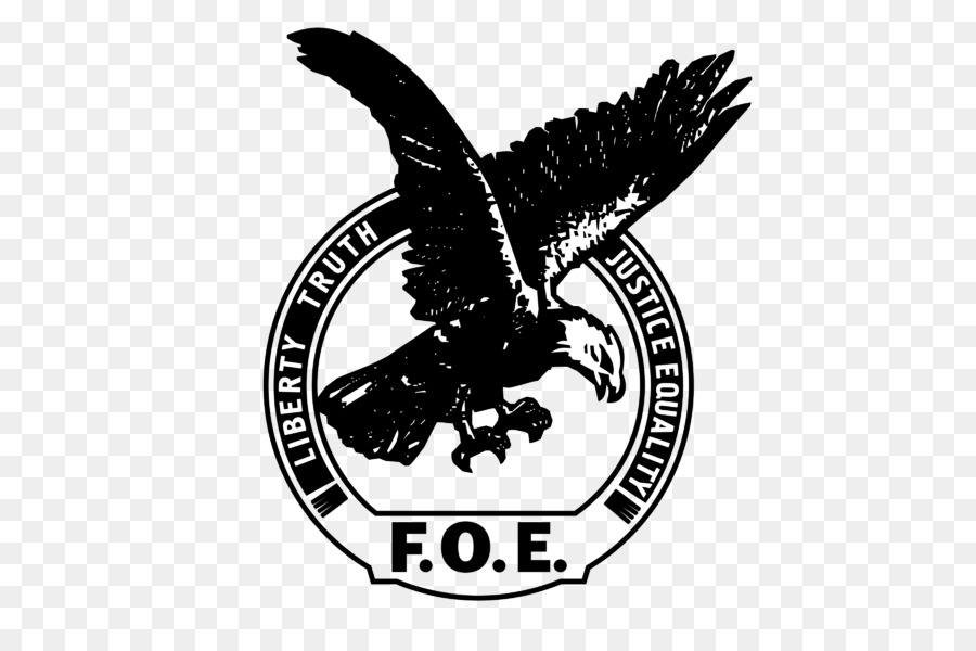Muskegon Logo Fraternal Order of Eagles Eagles 3201 - eagle png download - 800*600 - Free Transparent Muskegon png Download.