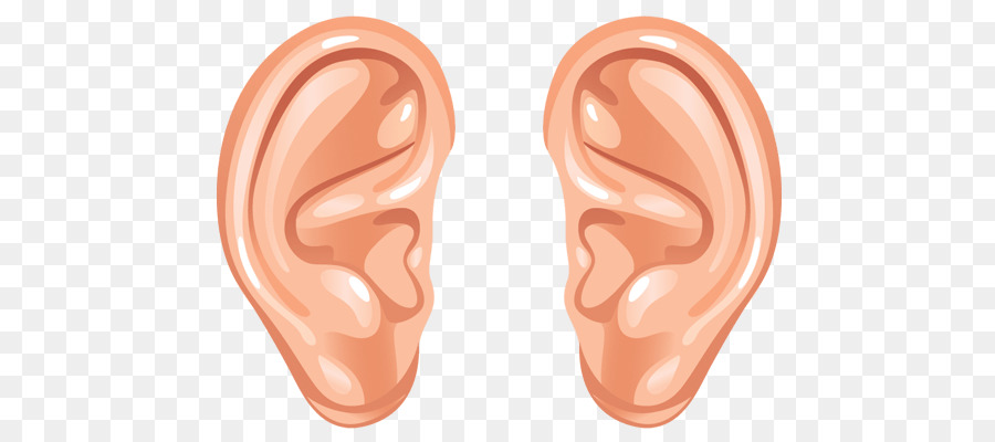 Hearing Clip art - rabbit ears png download - 800*400 - Free Transparent  png Download.