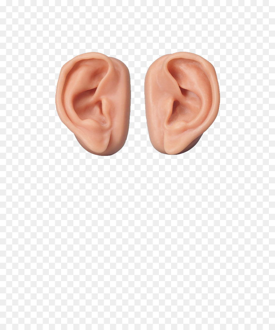 Hearing Outer ear Inner ear Middle ear - Ear PNG png download - 683*1115 - Free Transparent  png Download.